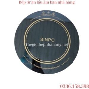 Bếp từ âm bàn Sinpo 328